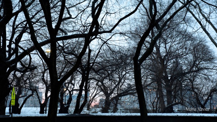 Central Park desde Guggenheim